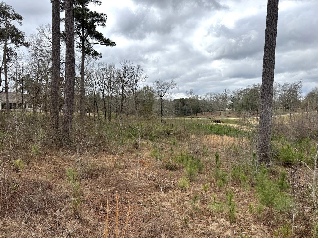 Picture 20