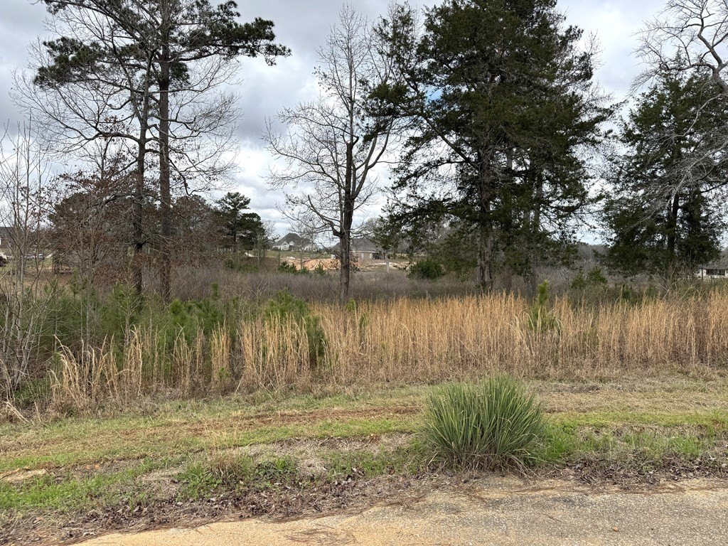 Picture 10