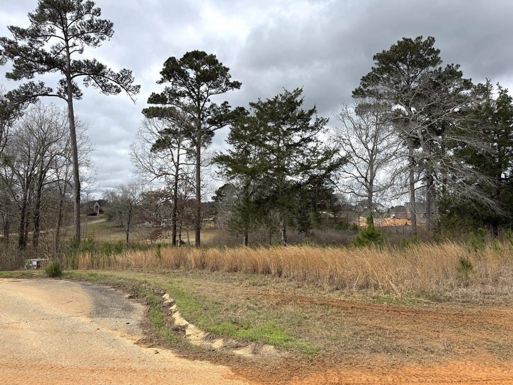 Picture 5