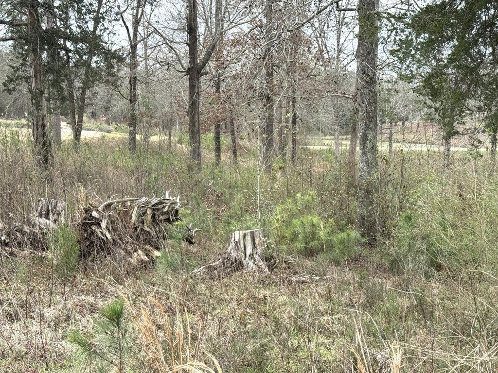 Picture 15