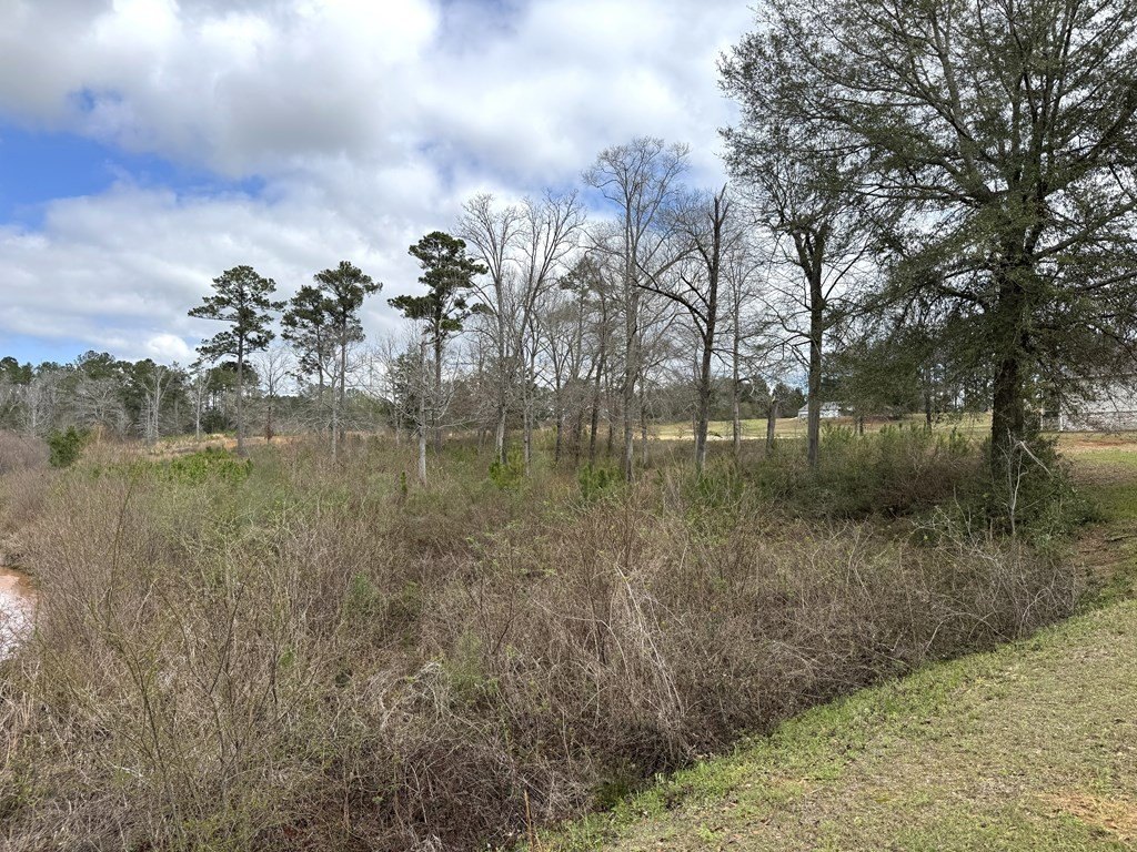 Picture 30