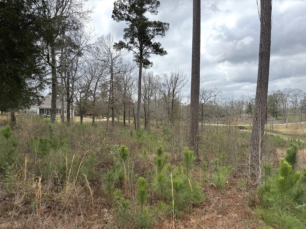 Picture 18