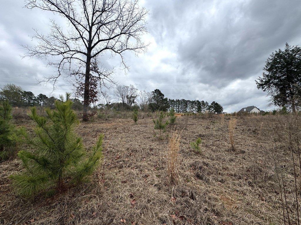 Picture 26