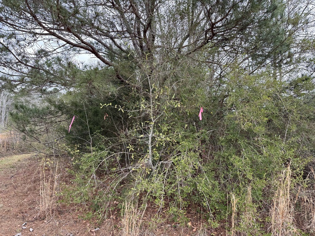 Picture 24
