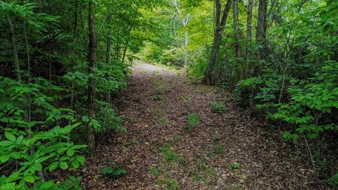 LAND - Franklin, NC