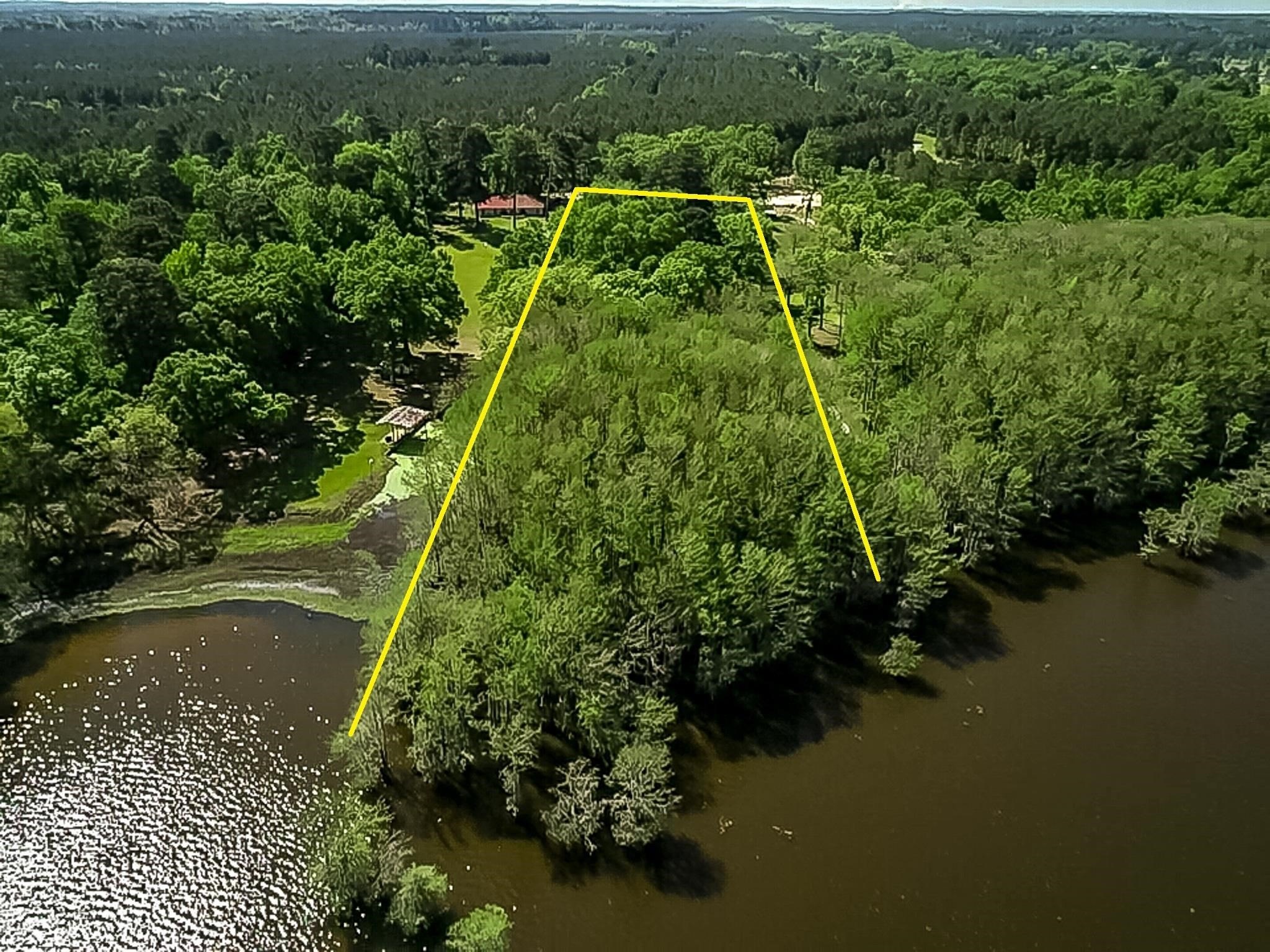 Waterfront Land on Caddo Lake