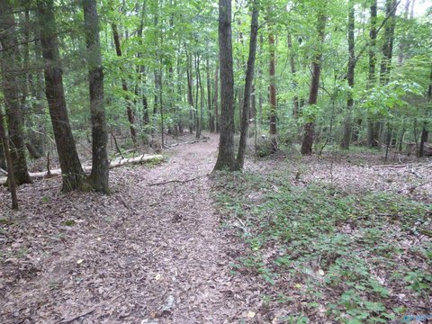 LAND - Fort Payne, AL