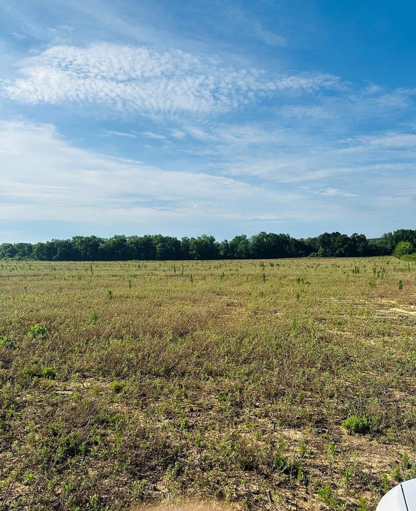 Slocomb, AL Prime Land