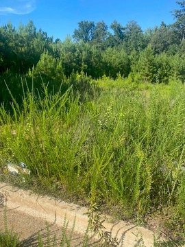 Conyers Commercial Land For Sale