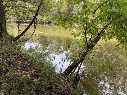 Land, Orrville, AL