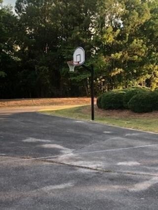 Picture 3