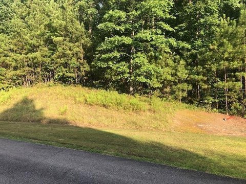 LAND - Double Springs, AL