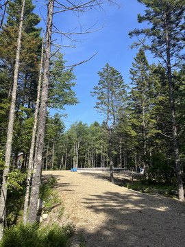 Cleared Lot in Coastal Maine