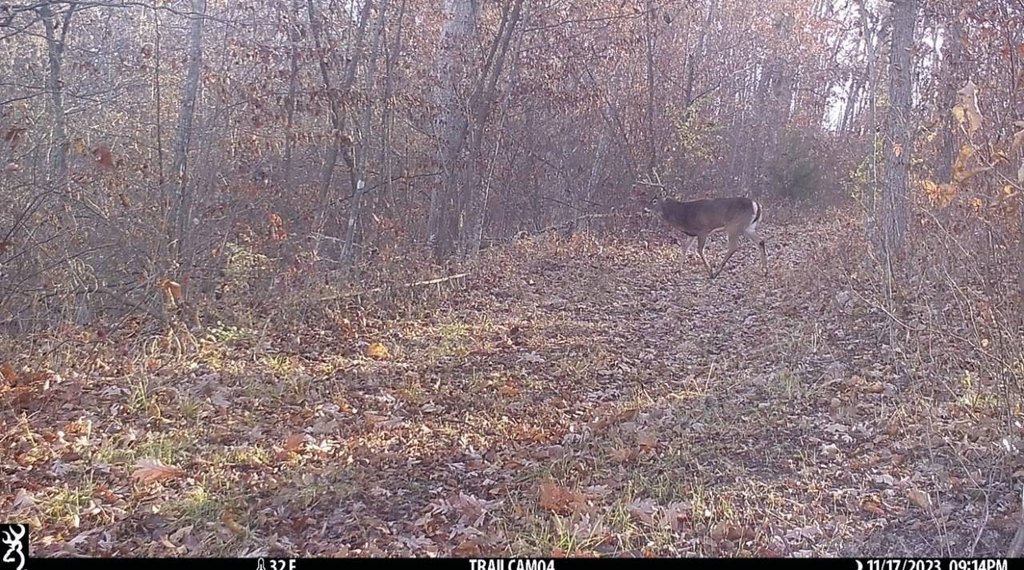 Picture 20