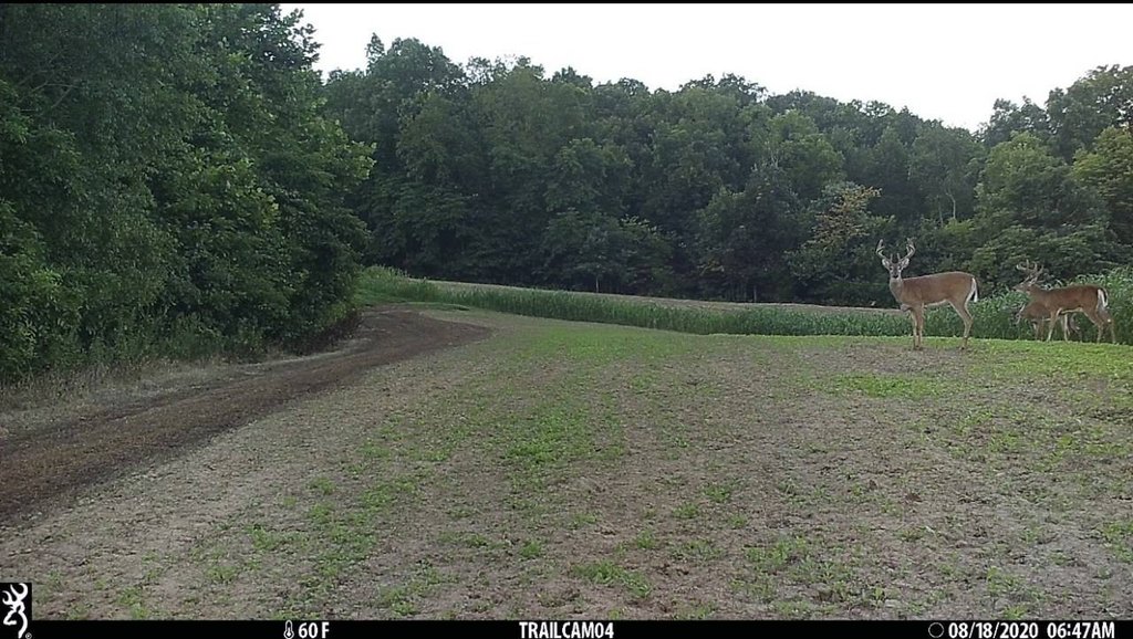 Picture 19