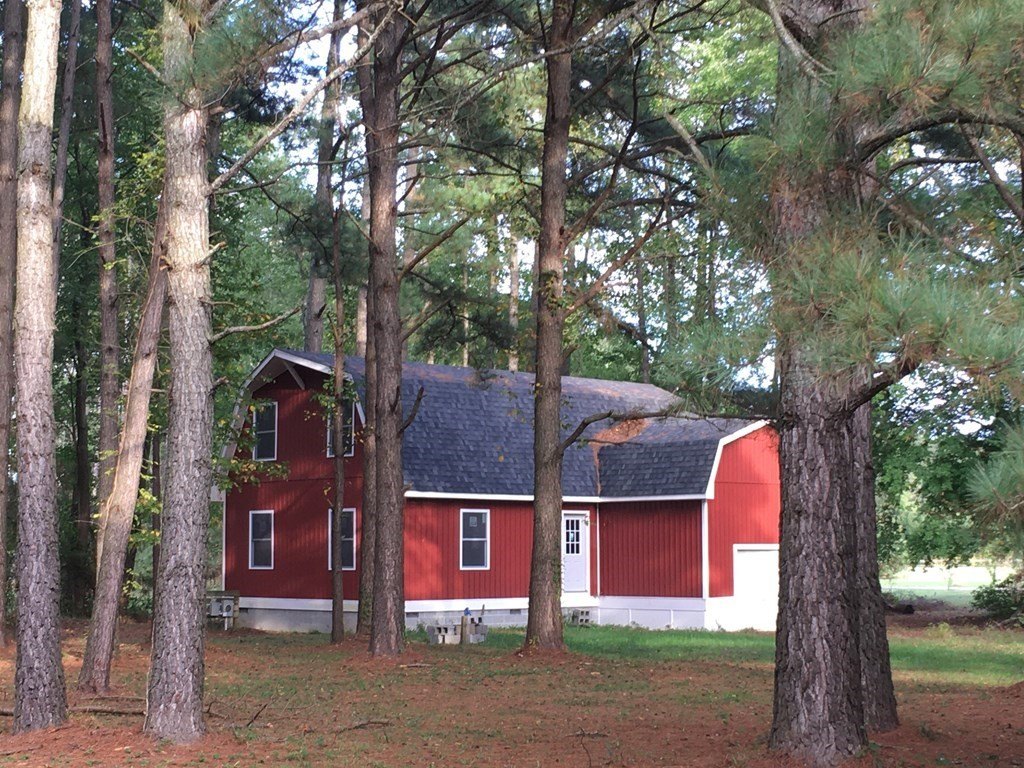 Picture 5