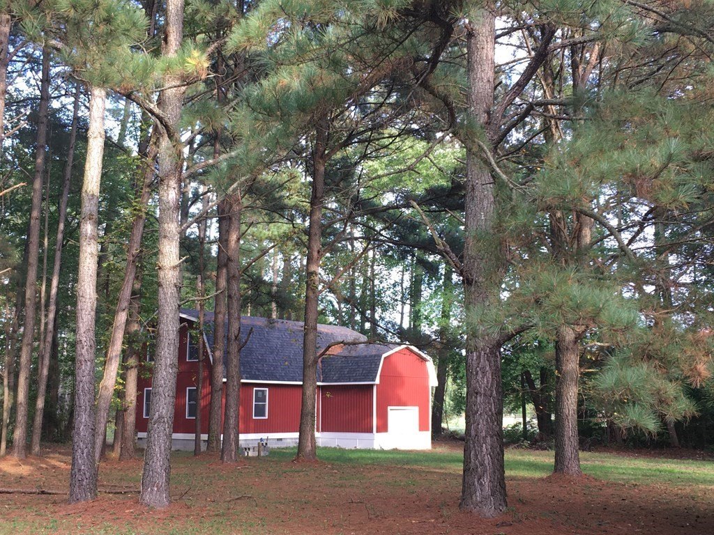 Picture 4