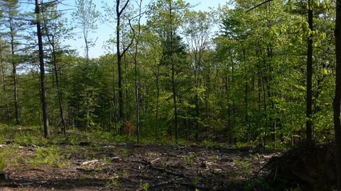 LAND - WALLOON LAKE, MI