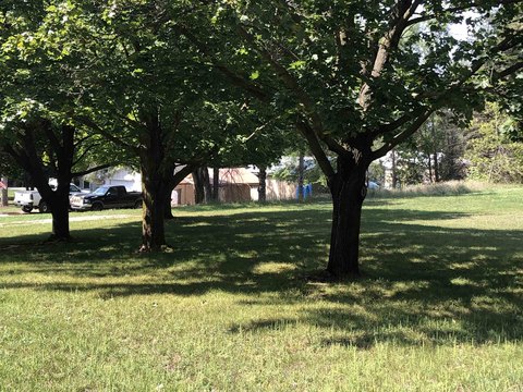 VACANT LAND, Farwell, MI