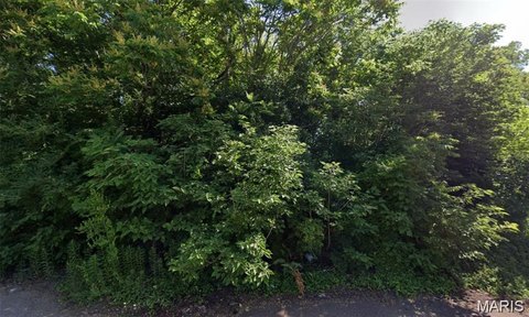 Residential Land in East St. Louis