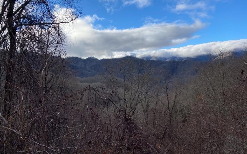Bryson City Acreage with Mountain Views