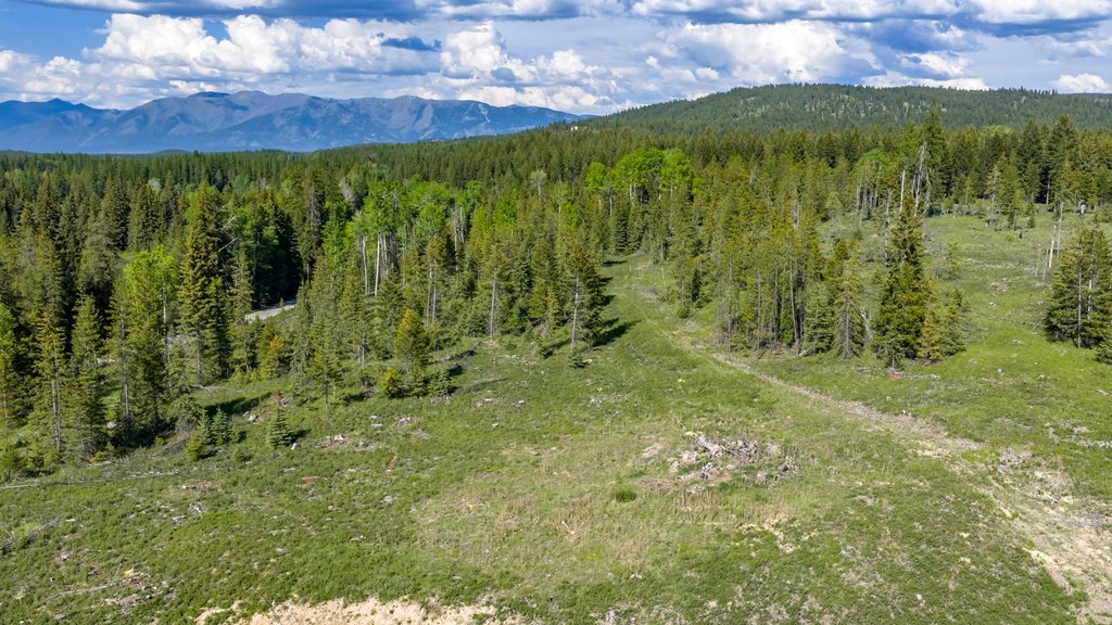 Picture 20