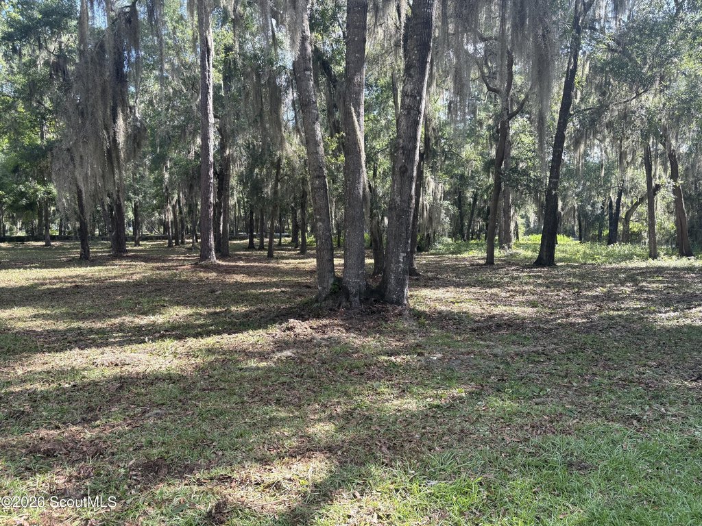 Picture 15