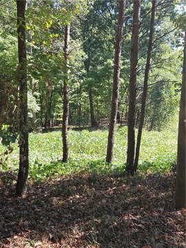 Land, Walnut Cove, NC