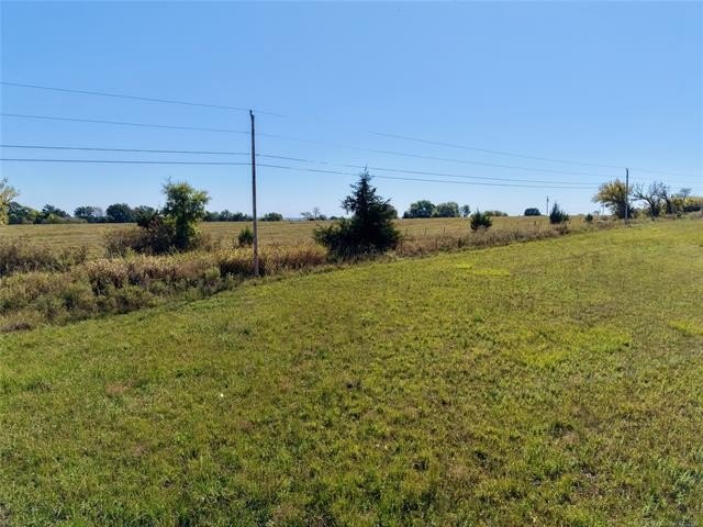 Picture 14