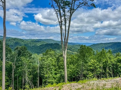Land with Mountain Views