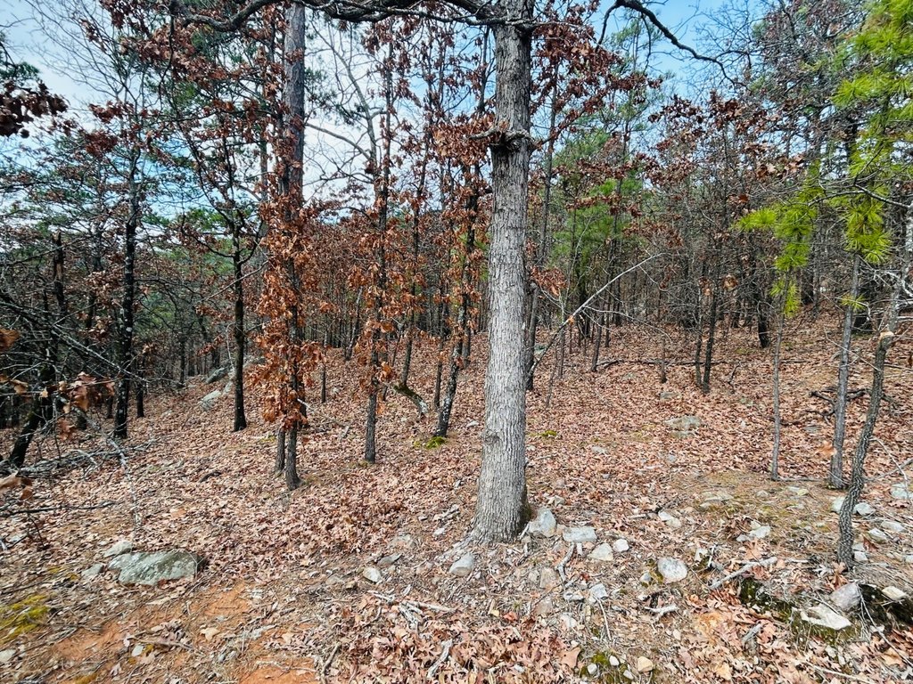 Picture 37