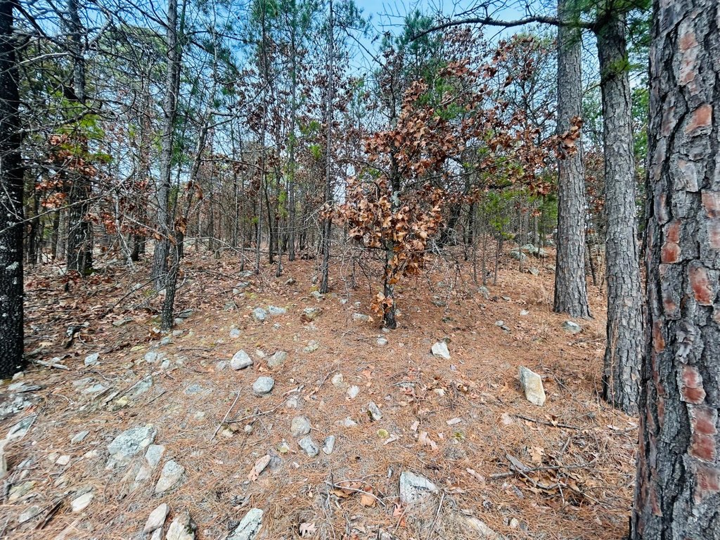 Picture 38