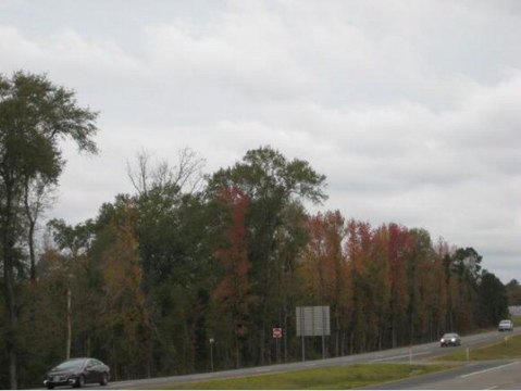 65 Acres on SW Stallings