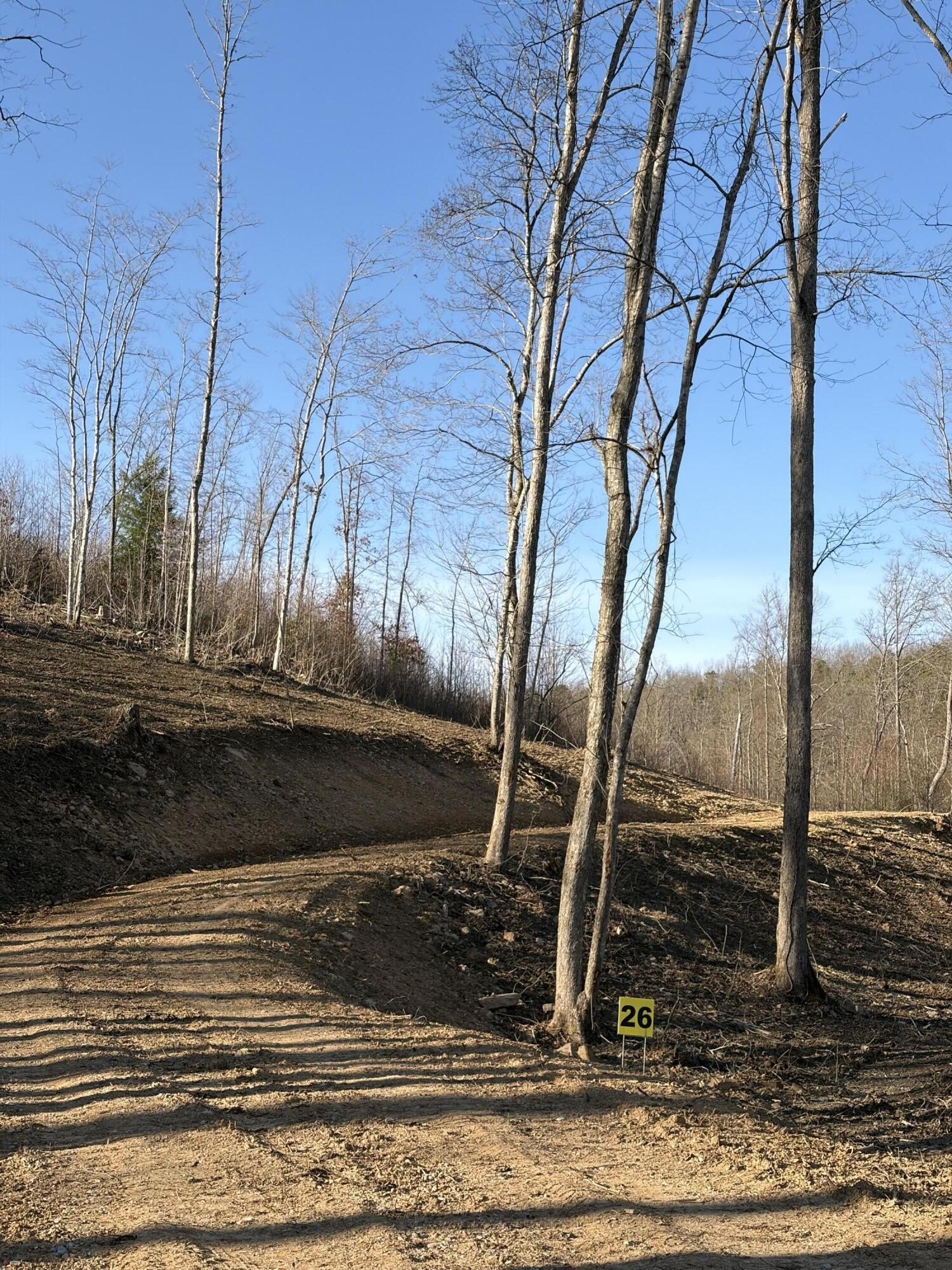 Versatile Acreage in East Bernstadt