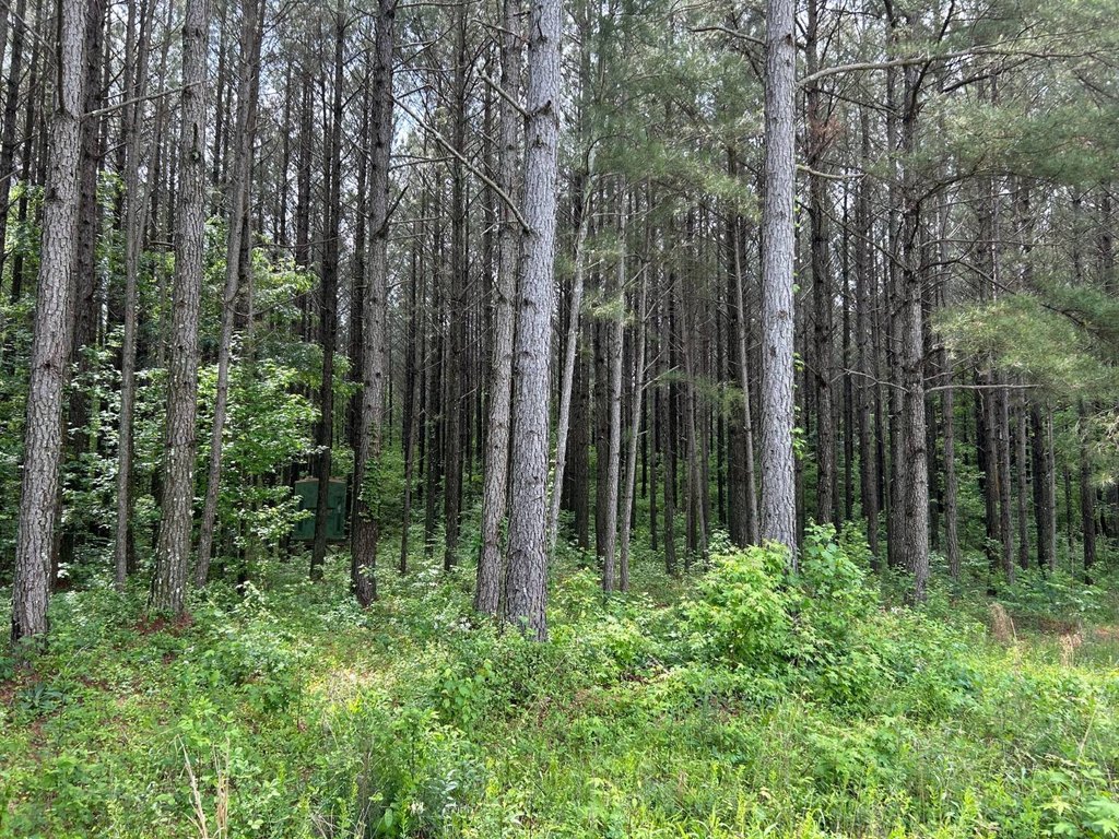Picture 29