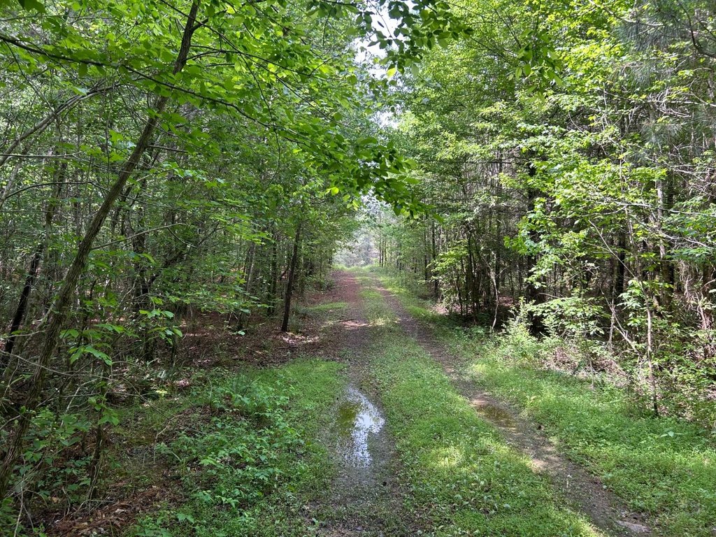 Picture 28