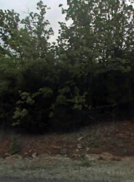 Picture 5
