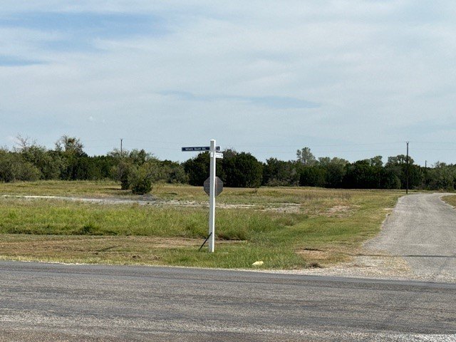 Picture 3