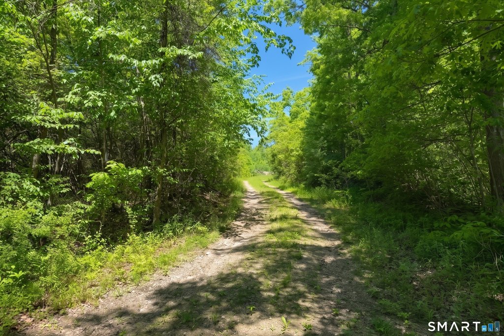Picture 7