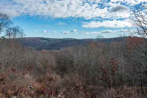 21 Acres of Forestland Retreat