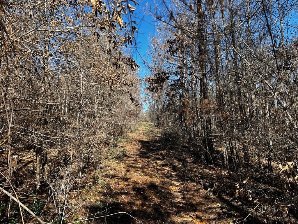 Residential Land in Corrigan, TX