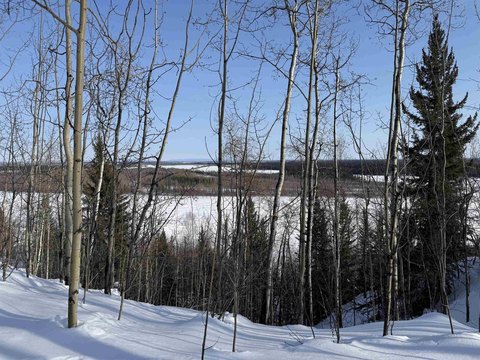 Fairbanks Building Lot with Views