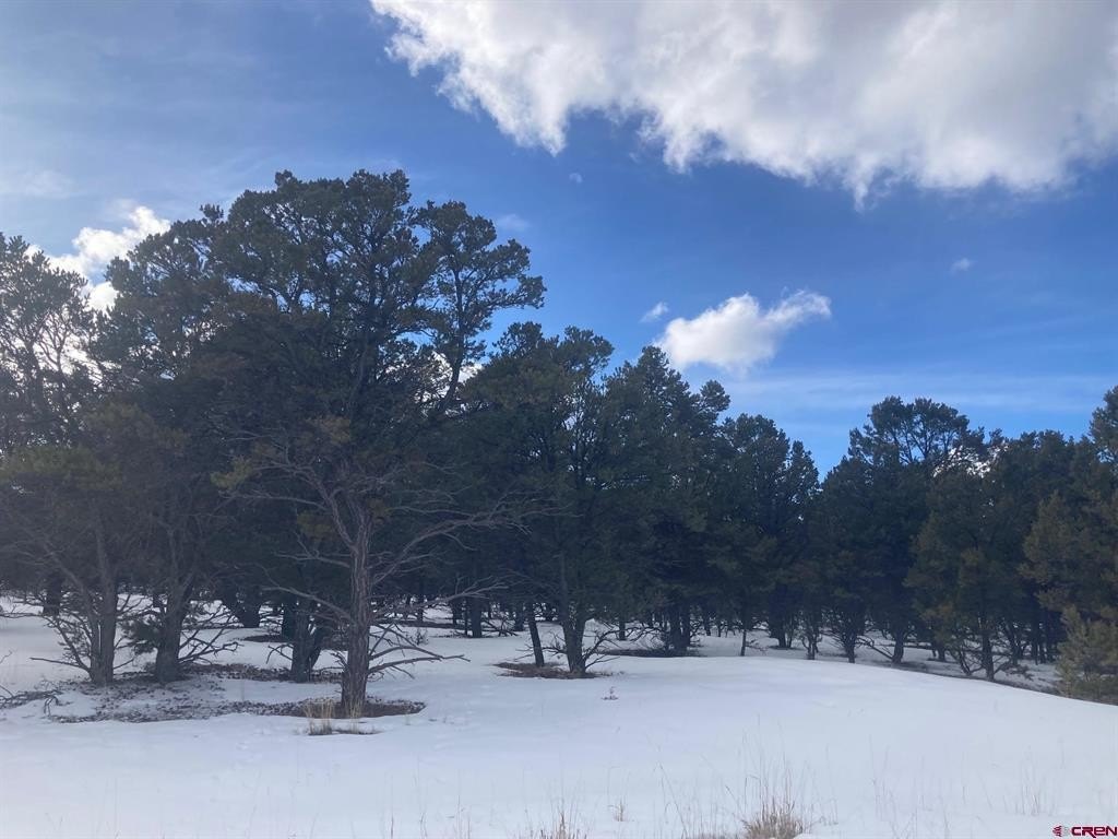 Ridgway, CO Land For Sale