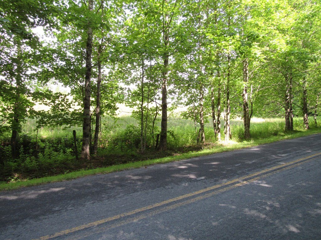 Picture 19