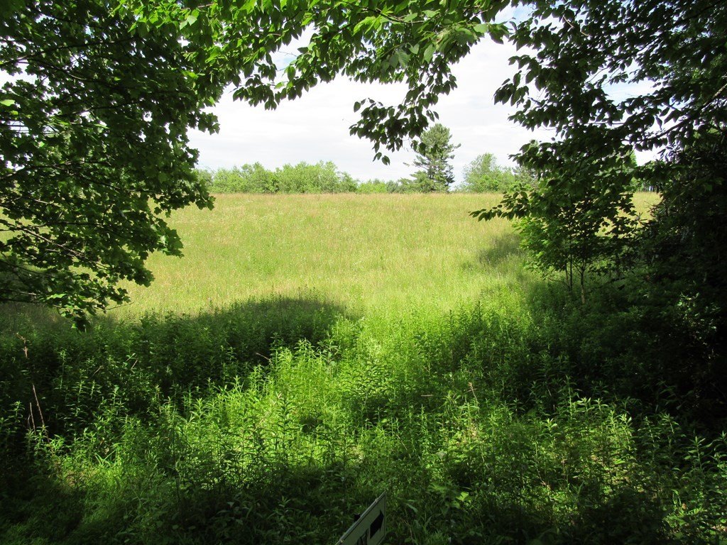 Picture 20