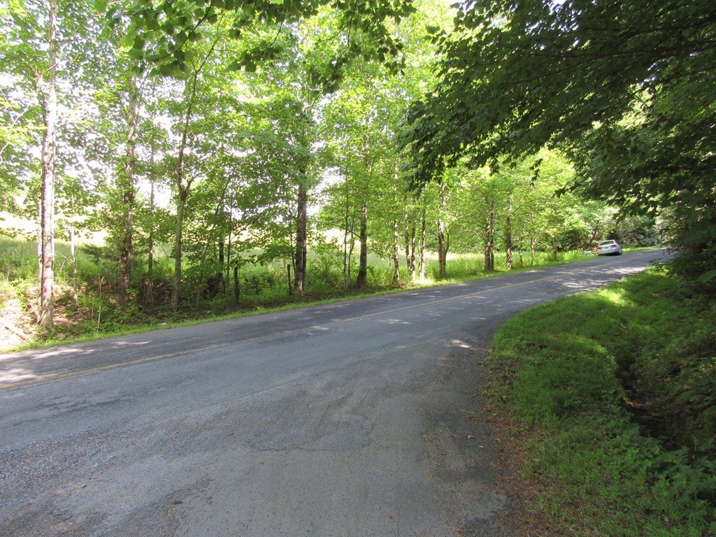Picture 18