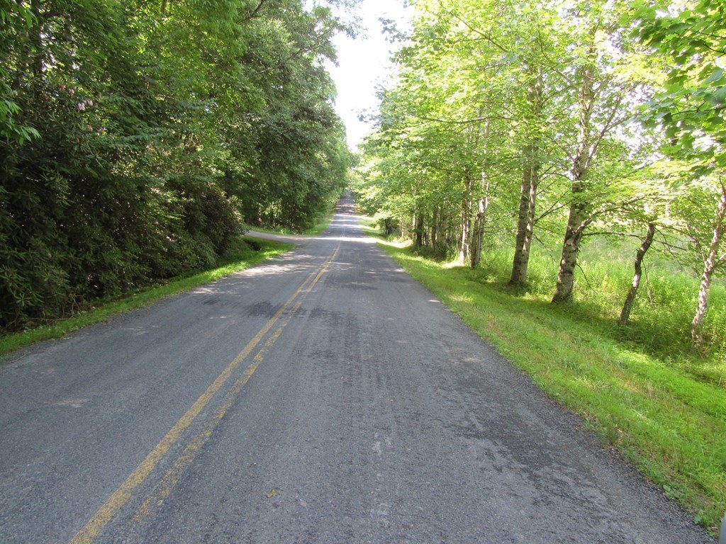 Picture 21