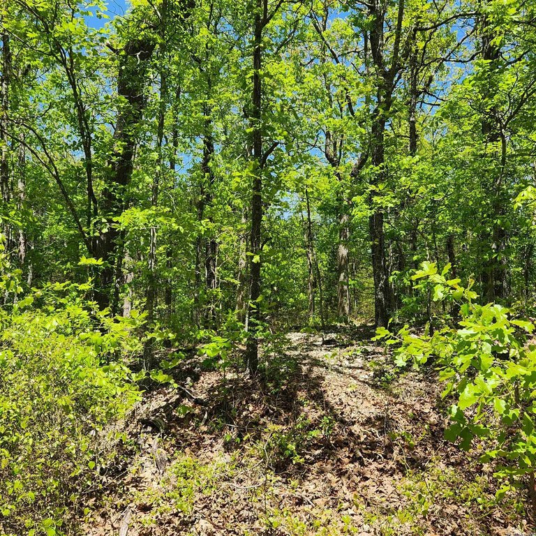 Picture 4