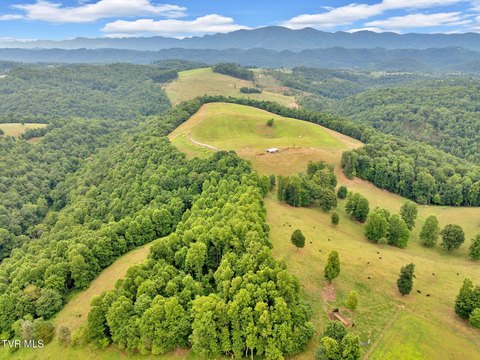 Farmland with Mountain Views