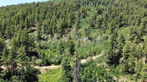 LAND - Bayfield, CO